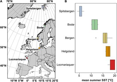 Summer Heatwave Impacts on the European Kelp Saccharina latissima Across Its Latitudinal Distribution Gradient